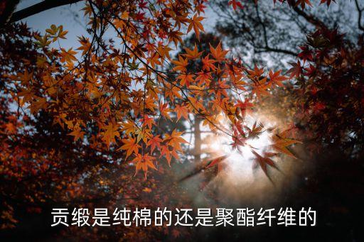  貢緞是純棉的還是聚酯纖維的