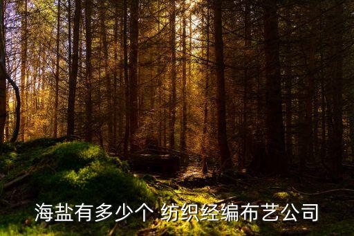 海鹽有多少個(gè) 紡織經(jīng)編布藝公司