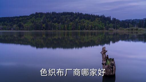 色織布廠商哪家好