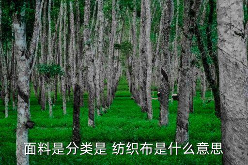 面料是分類(lèi)是 紡織布是什么意思