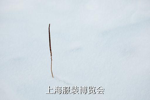 上海服裝博覽會