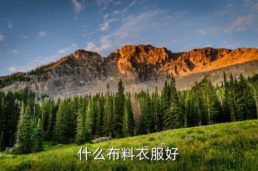 什么布料衣服好