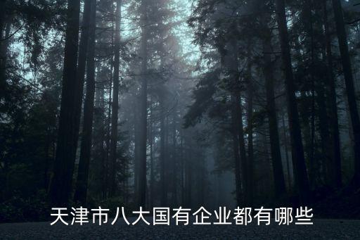  天津市八大國有企業(yè)都有哪些