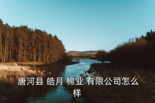  唐河縣 皓月 棉業(yè) 有限公司怎么樣