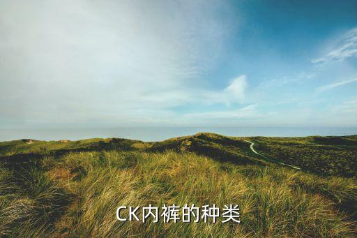 89%的錦綸 11%的氨綸是什么面料