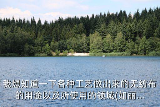 我想知道一下各種工藝做出來的無紡布的用途以及所使用的領(lǐng)域(如麗...