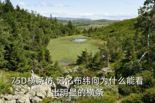 75D橫條仿 記憶布緯向?yàn)槭裁茨芸闯雒黠@的橫條