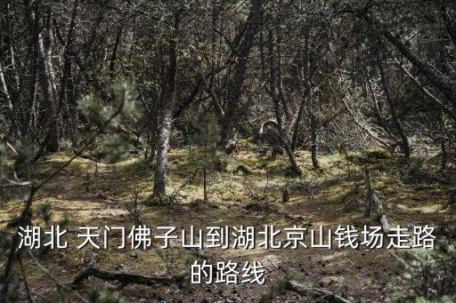 天門京天紡織