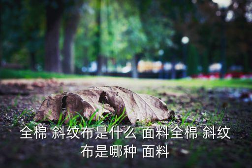 全棉 斜紋布是什么 面料全棉 斜紋布是哪種 面料