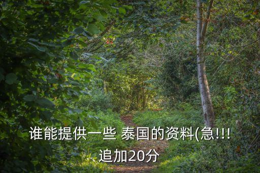 誰能提供一些 泰國的資料(急!!!追加20分