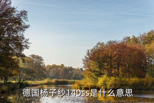  德國楊子紗140ss是什么意思