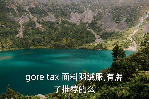 gore tax 面料羽絨服,有牌子推薦的么
