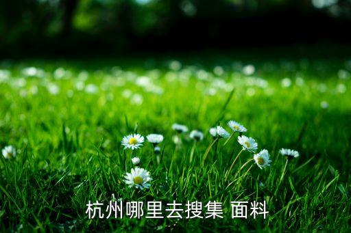  杭州哪里去搜集 面料