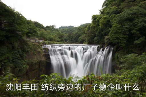 沈陽豐田 紡織旁邊的廠子德企叫什么
