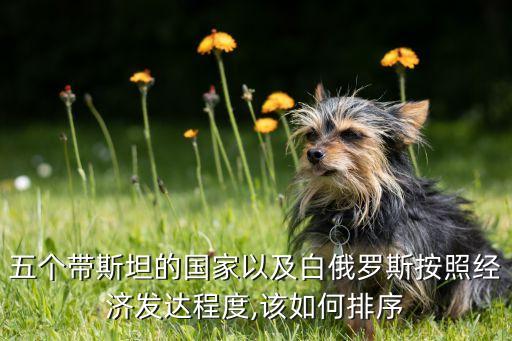 五個(gè)帶斯坦的國(guó)家以及白俄羅斯按照經(jīng)濟(jì)發(fā)達(dá)程度,該如何排序