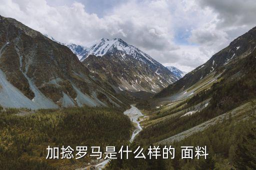 加捻羅馬是什么樣的 面料