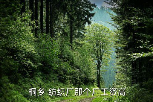 桐鄉(xiāng)創(chuàng)新紡織有限公司