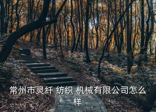 常州市靈纖 紡織 機械有限公司怎么樣