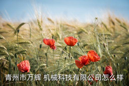 青州市萬輝 機(jī)械科技有限公司怎么樣