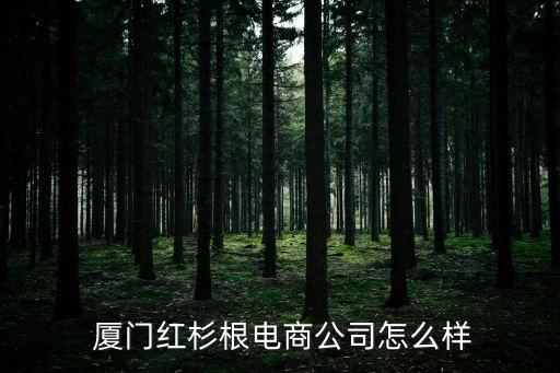  廈門紅杉根電商公司怎么樣