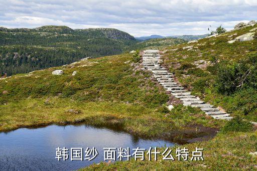  韓國(guó)紗 面料有什么特點(diǎn)