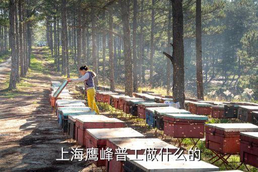 上海鷹峰普工做什么的