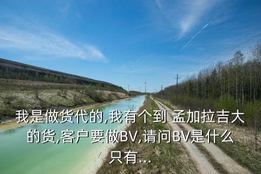 我是做貨代的,我有個到 孟加拉吉大的貨,客戶要做BV,請問BV是什么只有...