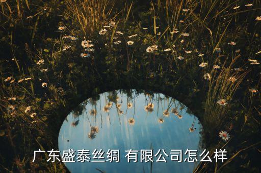 廣東盛泰絲綢 有限公司怎么樣