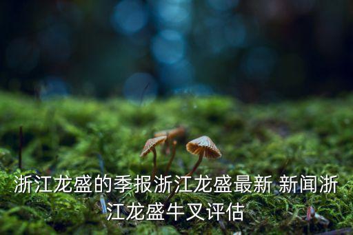 浙江龍盛的季報(bào)浙江龍盛最新 新聞?wù)憬埵⑴２嬖u(píng)估