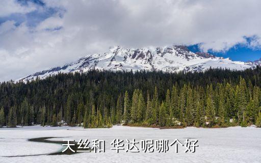 天絲和 華達(dá)呢哪個(gè)好