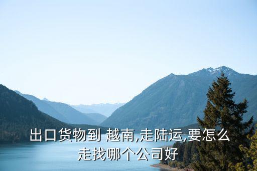 中國面料出口到越南地區(qū)哪個地方