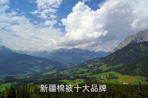 棉九紡織,棉是紡織材料嗎