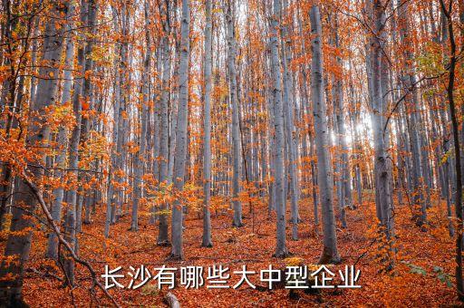 長沙有哪些大中型企業(yè)