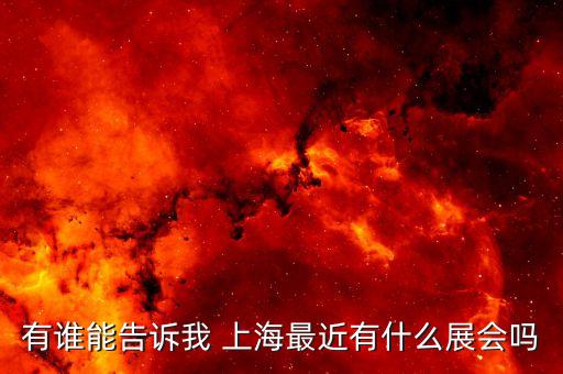 有誰能告訴我 上海最近有什么展會(huì)嗎