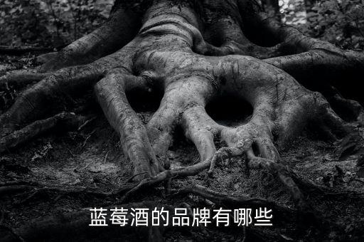 藍(lán)莓酒的品牌有哪些