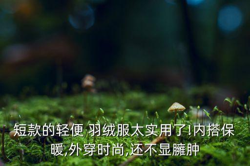 短款的輕便 羽絨服太實(shí)用了!內(nèi)搭保暖,外穿時(shí)尚,還不顯臃腫