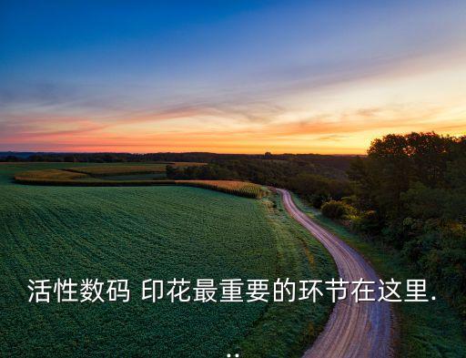 活性數(shù)碼 印花最重要的環(huán)節(jié)在這里...