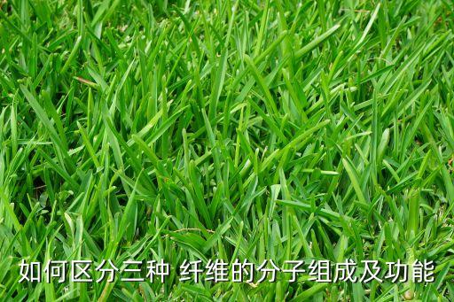 如何區(qū)分三種 纖維的分子組成及功能