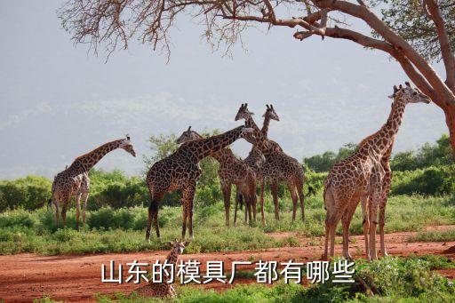 山東的模具廠都有哪些