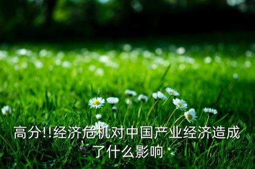 高分!!經(jīng)濟(jì)危機(jī)對(duì)中國(guó)產(chǎn)業(yè)經(jīng)濟(jì)造成了什么影響