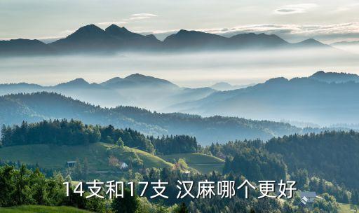 漢麻面料的解說,漢麻粘膠纖維面料特點(diǎn)