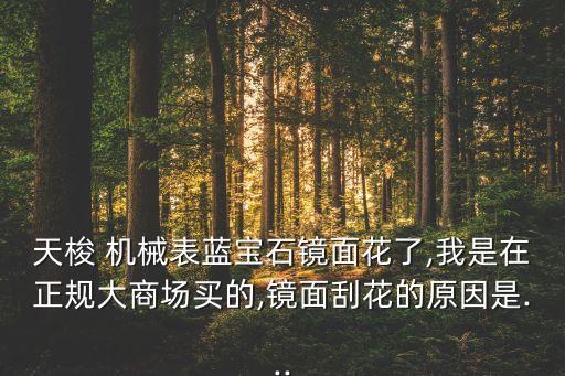 惠安金天梭精密機(jī)械有限公司 副總