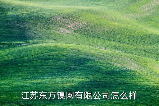 江蘇東方鎳網(wǎng)有限公司怎么樣