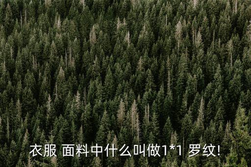 羅紋布面料