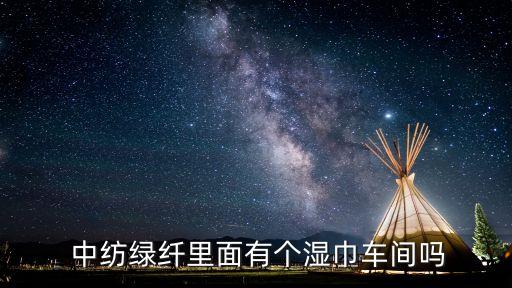  中紡綠纖里面有個濕巾車間嗎