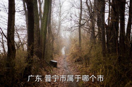 廣東 普寧市屬于哪個(gè)市