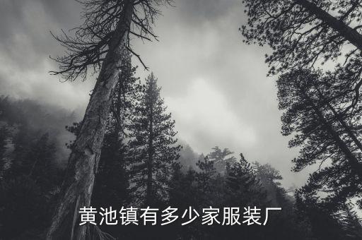 黃池鎮(zhèn)有多少家服裝廠