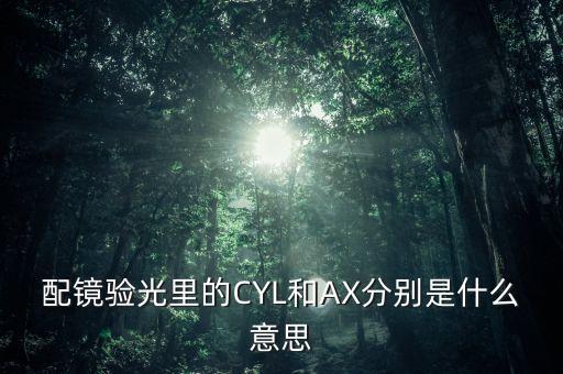 配鏡驗(yàn)光里的CYL和AX分別是什么意思