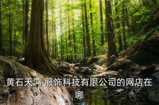 黃石天鴻 服飾科技有限公司的網(wǎng)店在哪