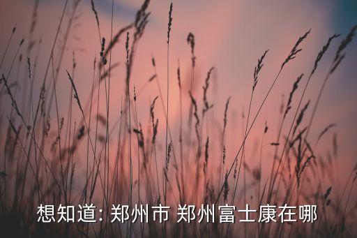 想知道: 鄭州市 鄭州富士康在哪